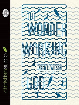 cover image of Wonder-Working God